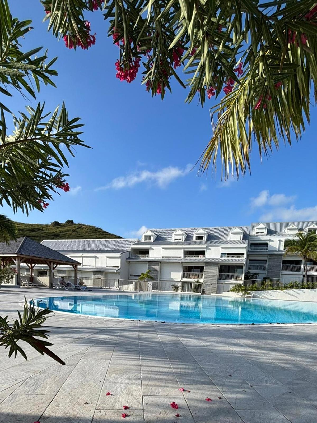 Easy Friendly Sxm Διαμέρισμα Cul de Sac Εξωτερικό φωτογραφία