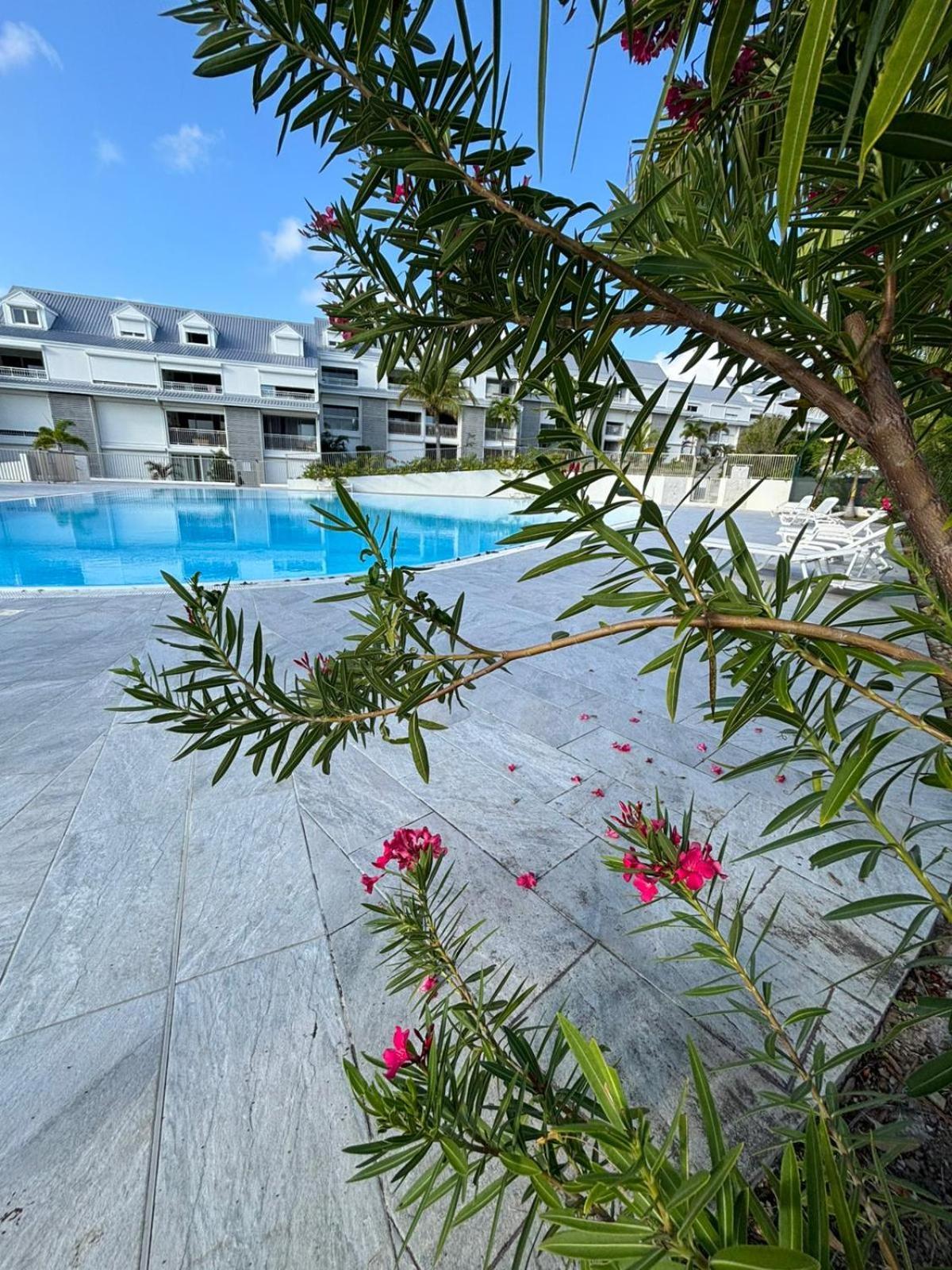 Easy Friendly Sxm Διαμέρισμα Cul de Sac Εξωτερικό φωτογραφία